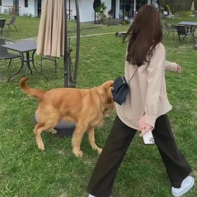 爱之火